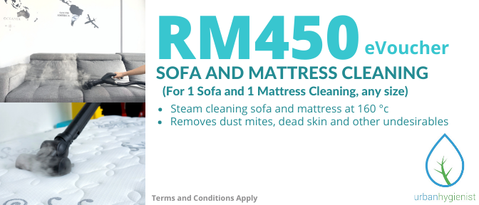 Sofa and Mattress Cleaning Service
